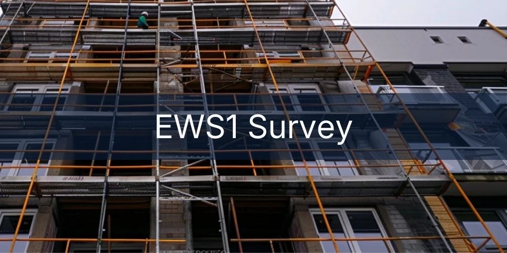 services/ews1-survey.jpg